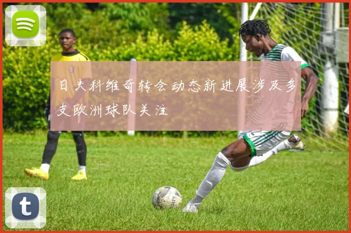 日夫科维奇转会动态新进展涉及多支欧洲球队关注